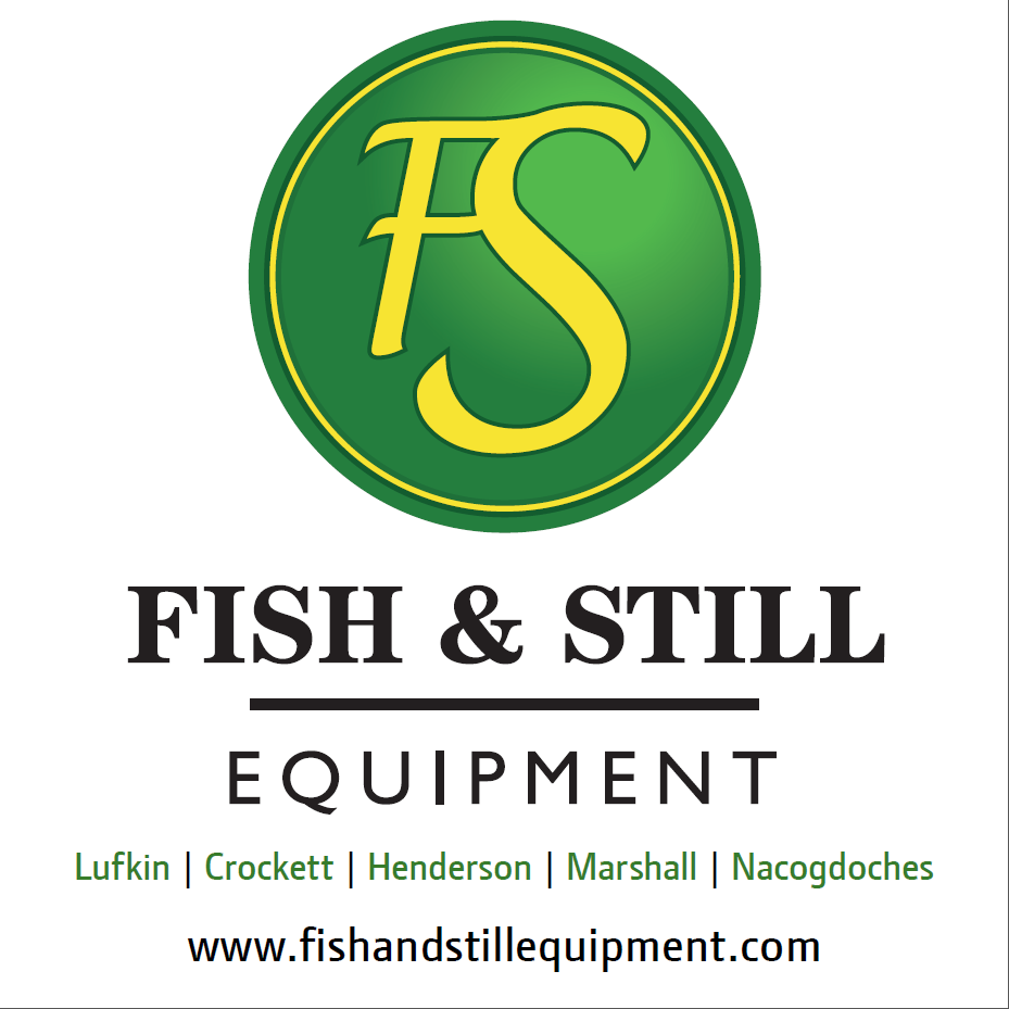 fish and still fish and still
