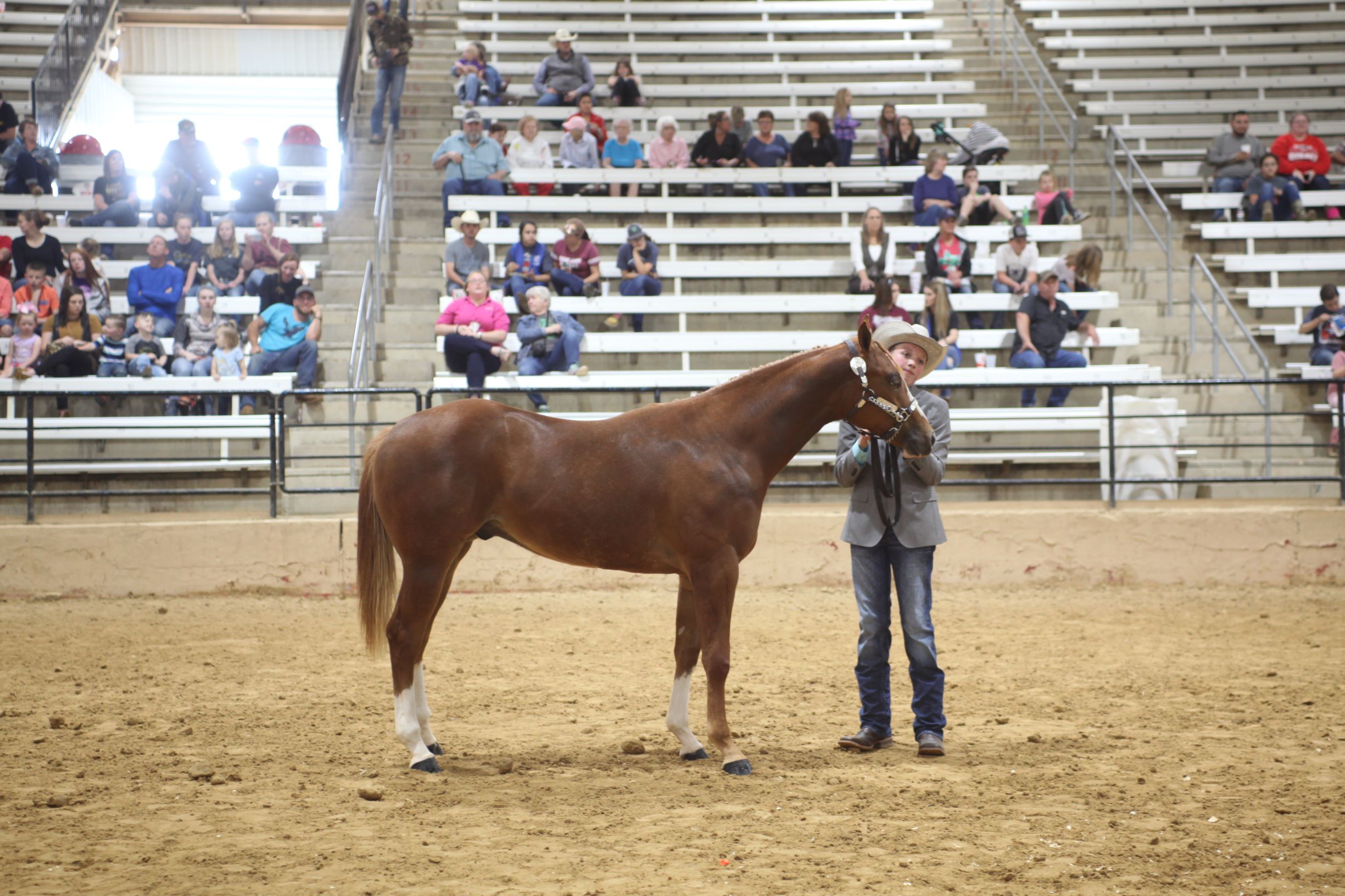 Foal Futurity