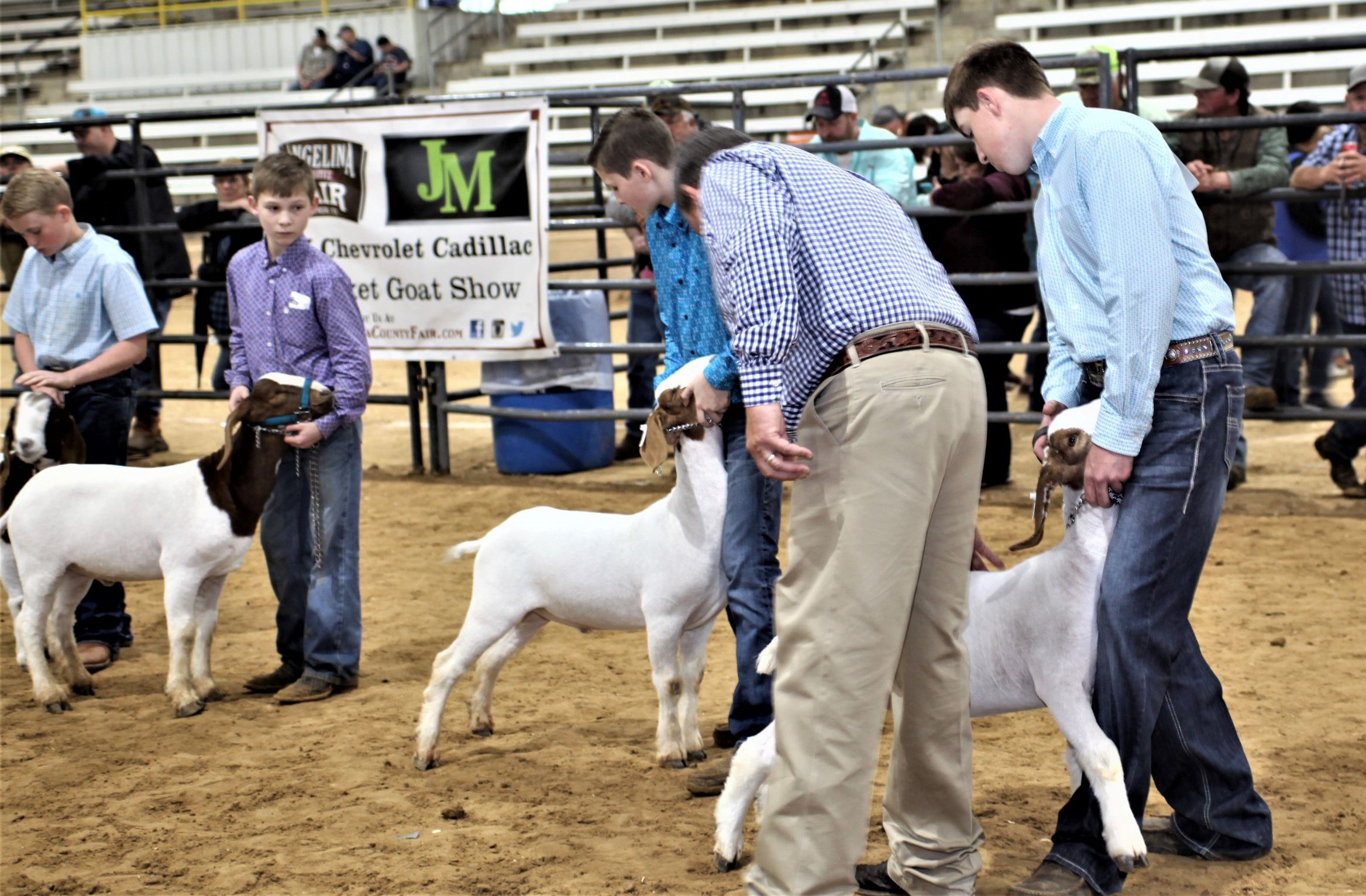 Market Goats