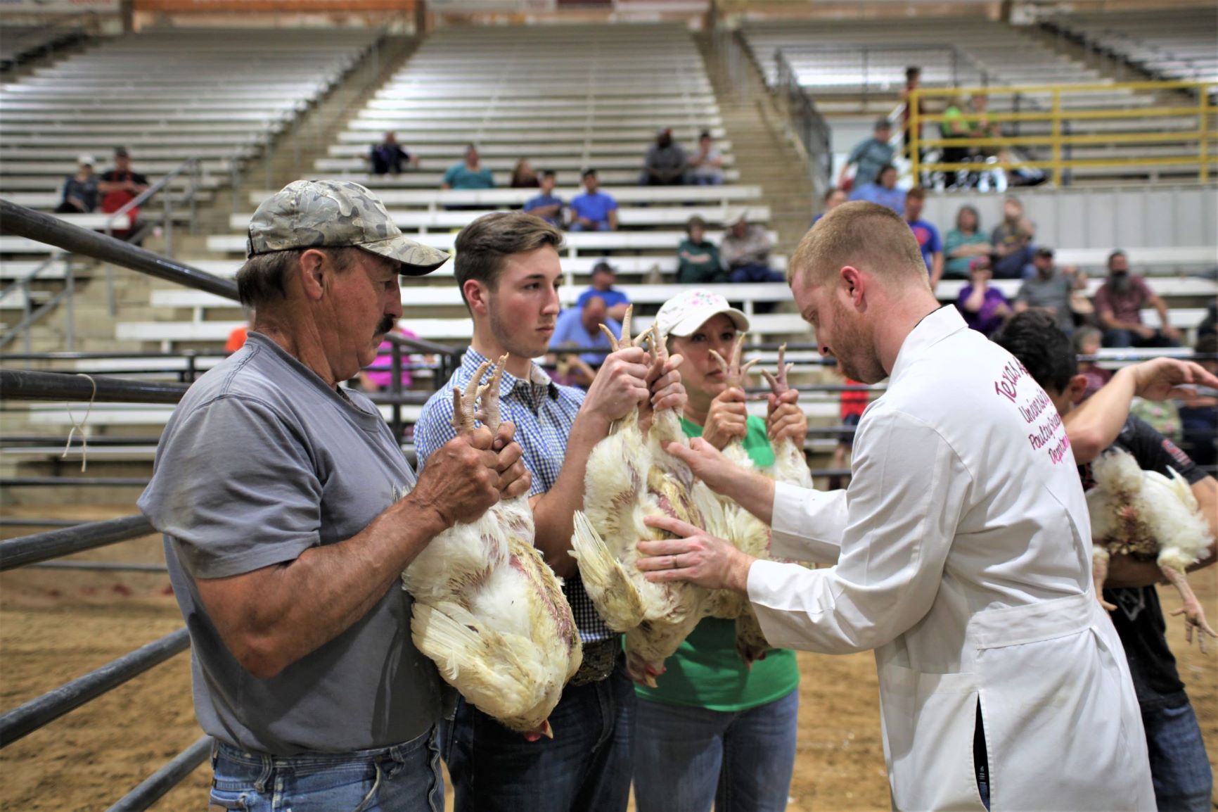 Broilers