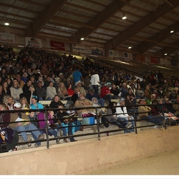 buyers in stands