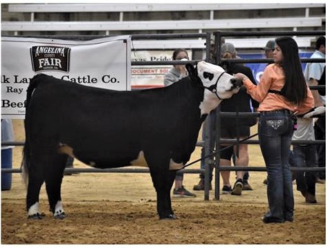 Victoria Concha, Lufkin FFA