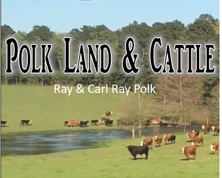 Polk Land