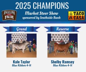 Steers